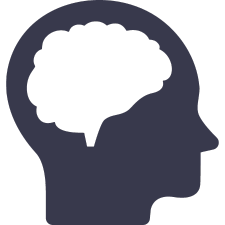 smlbrainicon